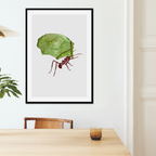 Aquarelle naturaliste - La Fourmi