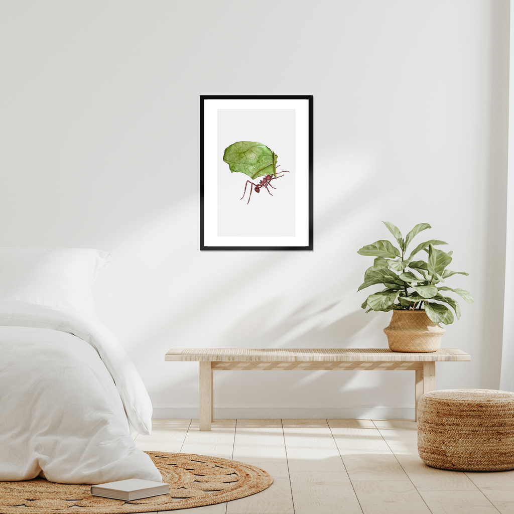 Aquarelle naturaliste - La Fourmi