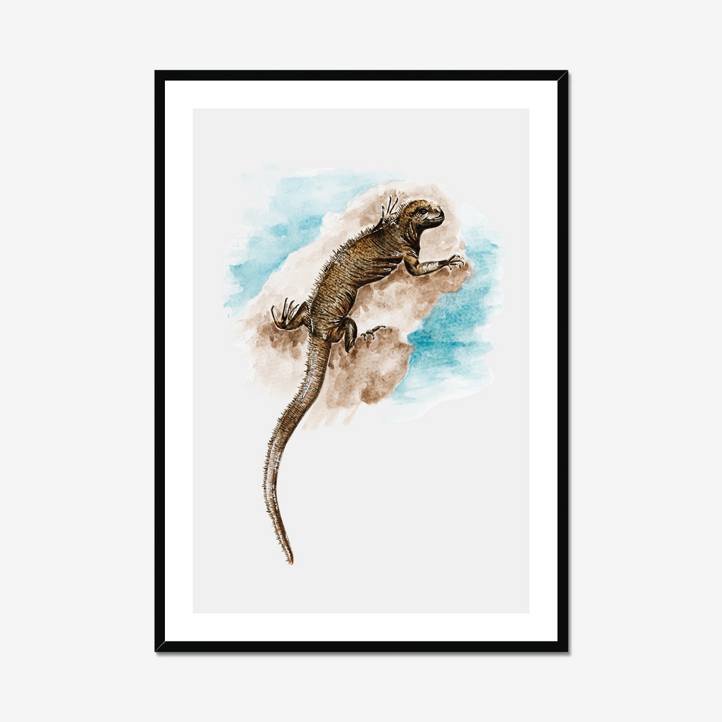 Aquarelle naturaliste - L'iguane marin