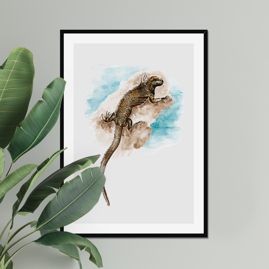 Aquarelle naturaliste - L'iguane marin