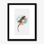 Aquarelle naturaliste - L'iguane marin