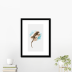 Aquarelle naturaliste - L'iguane marin