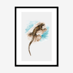 Aquarelle naturaliste - L'iguane marin