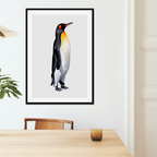 Aquarelle naturaliste - Le manchot royal