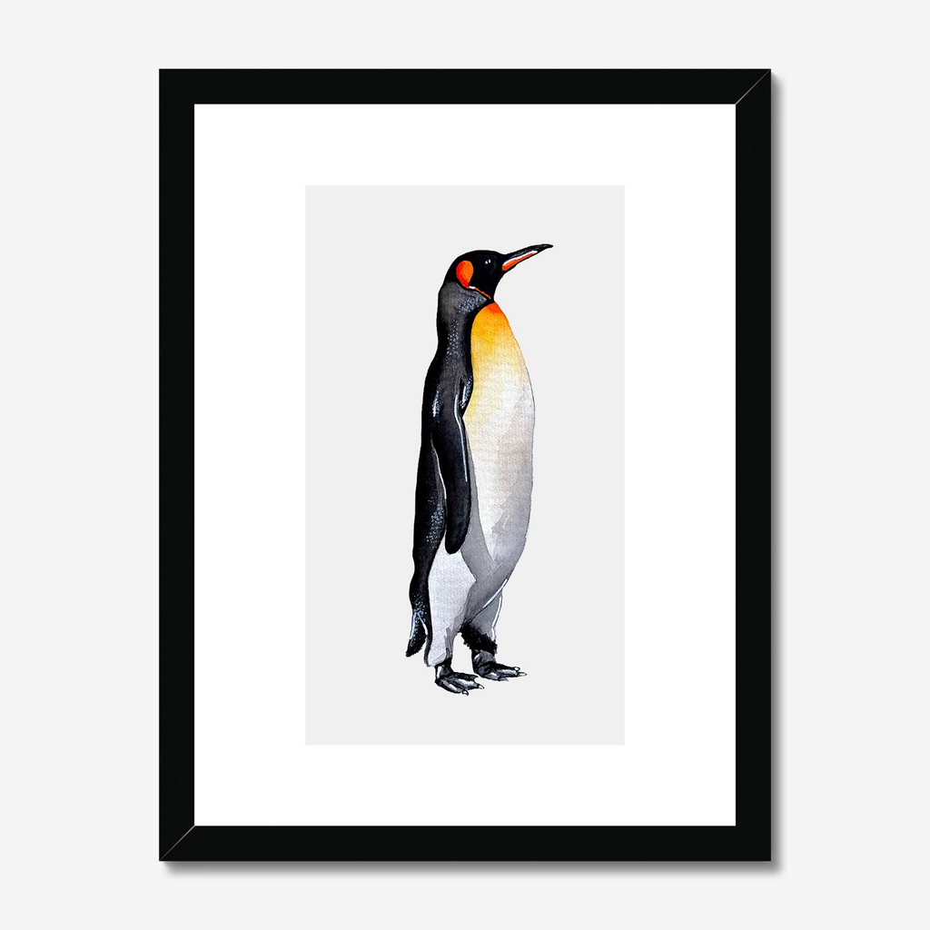 Aquarelle naturaliste - Le manchot royal