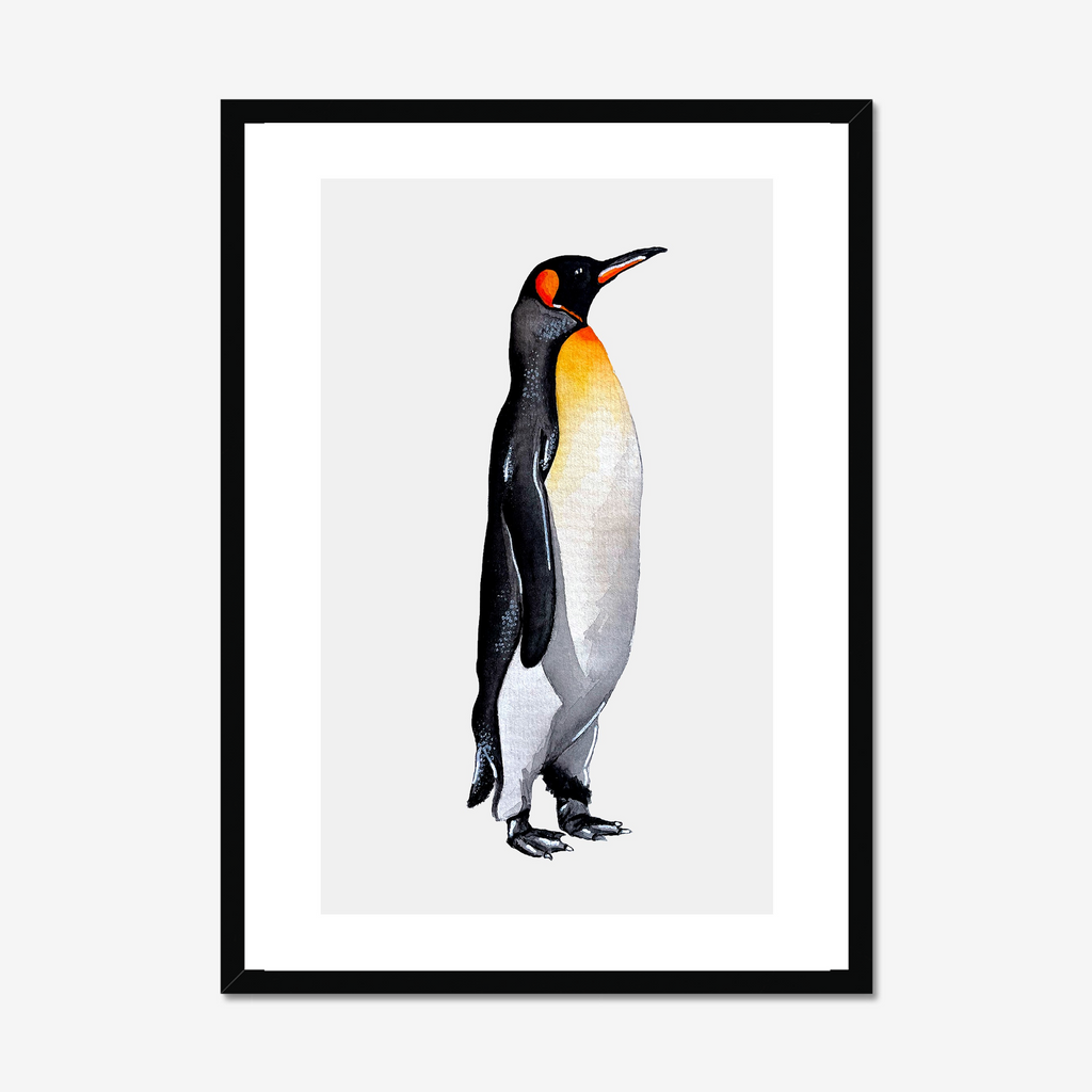 Aquarelle naturaliste - Le manchot royal