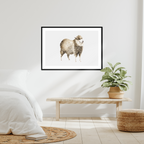 Aquarelle naturaliste - Le mouton