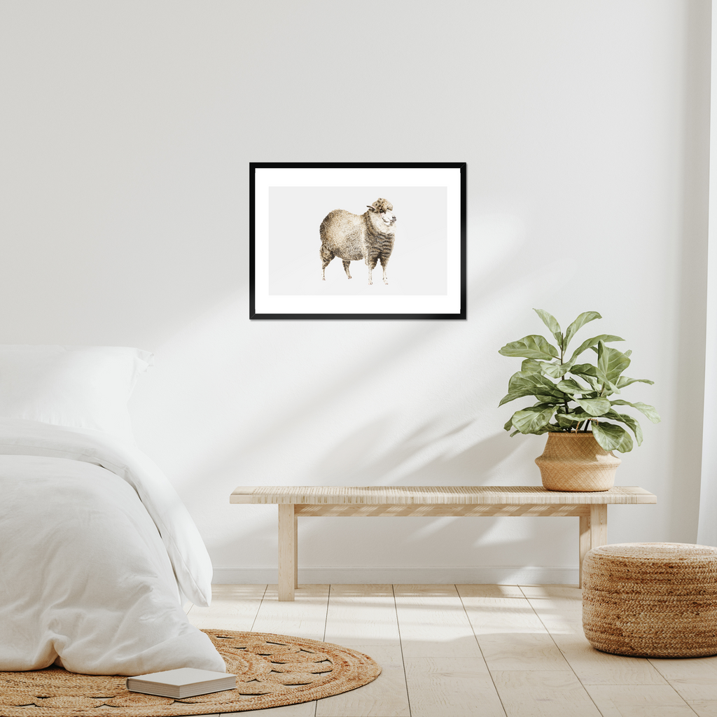 Aquarelle naturaliste - Le mouton