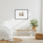 Aquarelle naturaliste - Le mouton