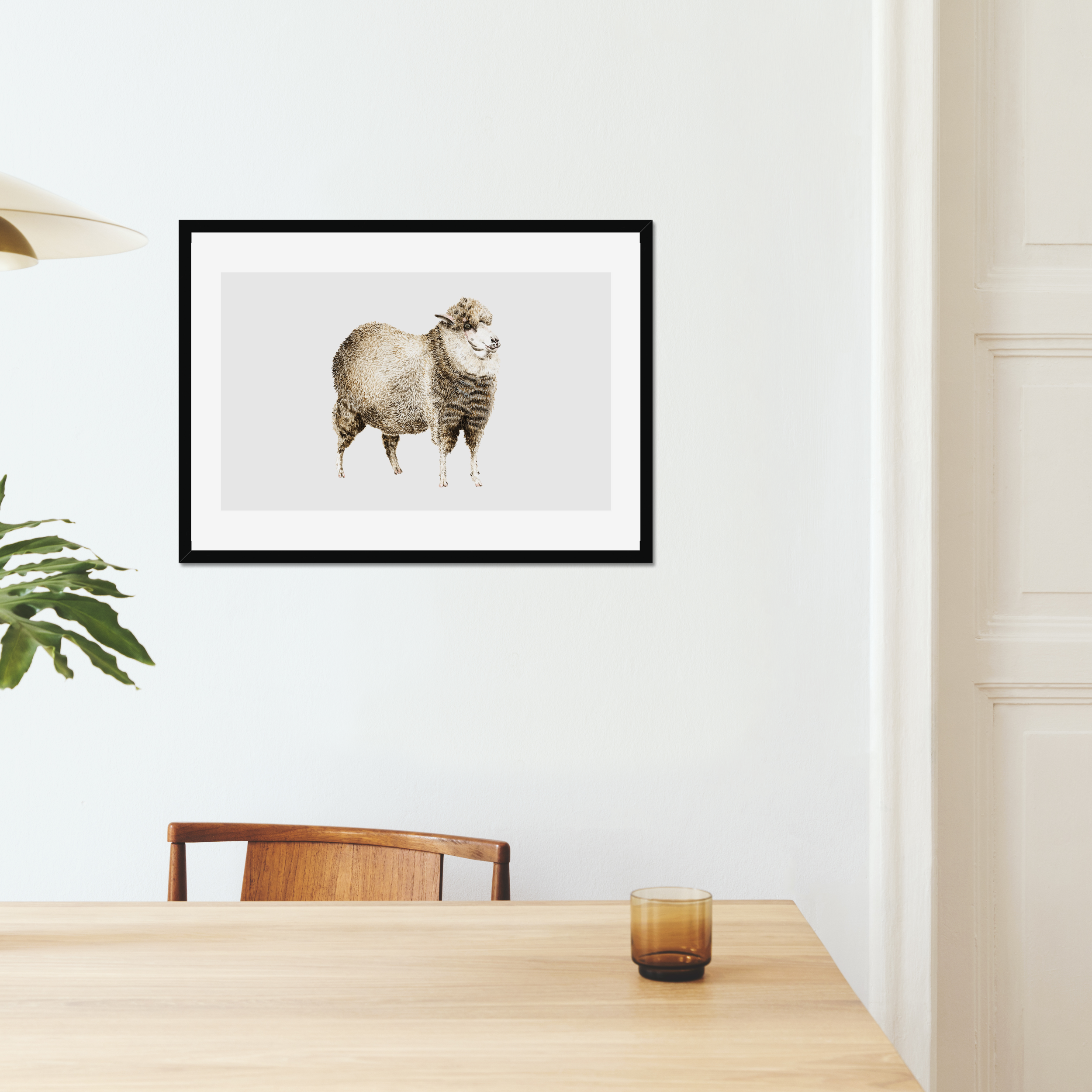 Aquarelle naturaliste - Le mouton