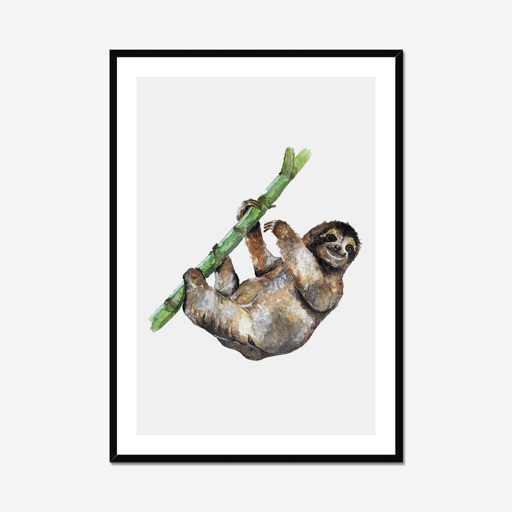 Aquarelle naturaliste - Le paresseux