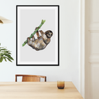 Aquarelle naturaliste - Le paresseux