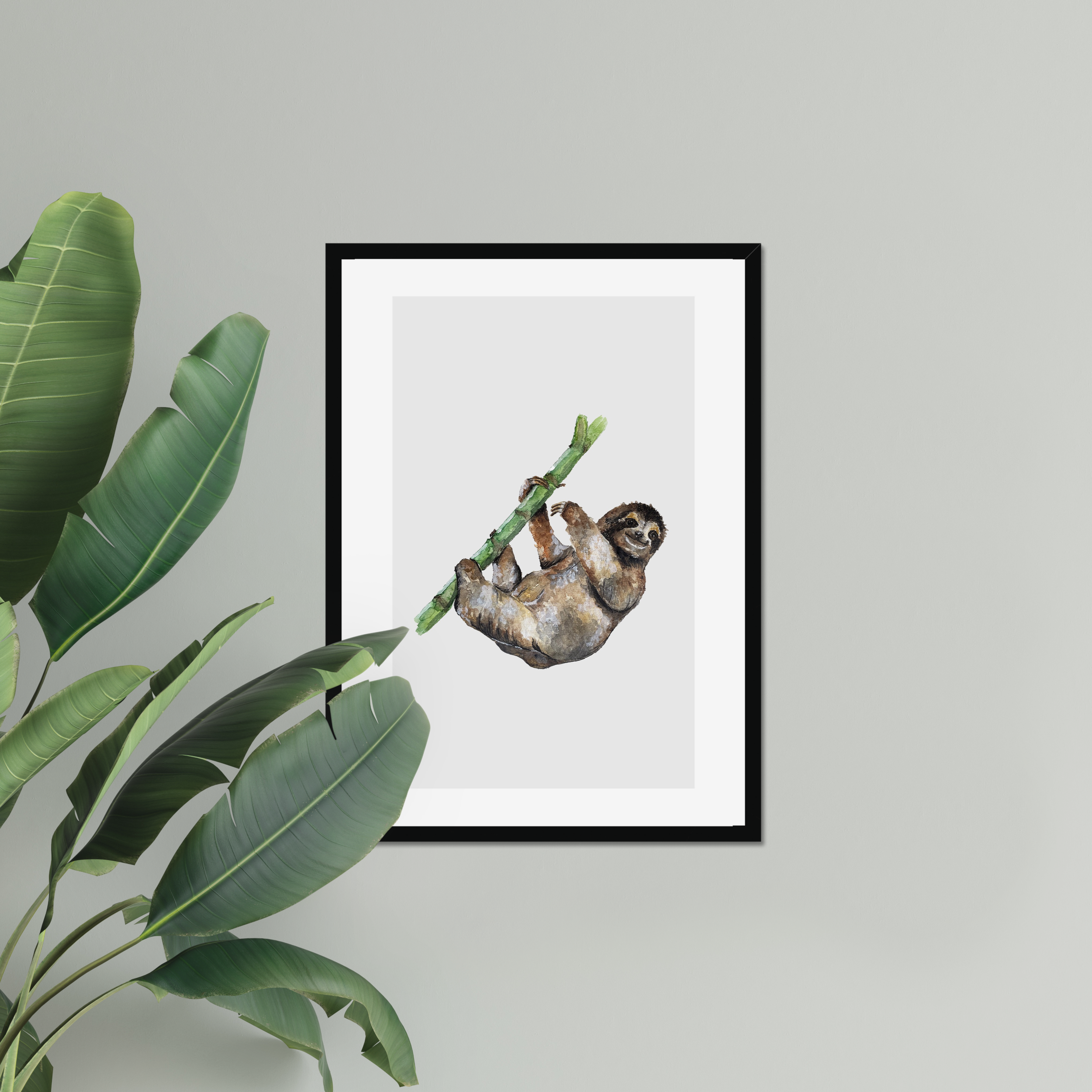 Aquarelle naturaliste - Le paresseux