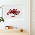 Aquarelle naturaliste - Le poulpe