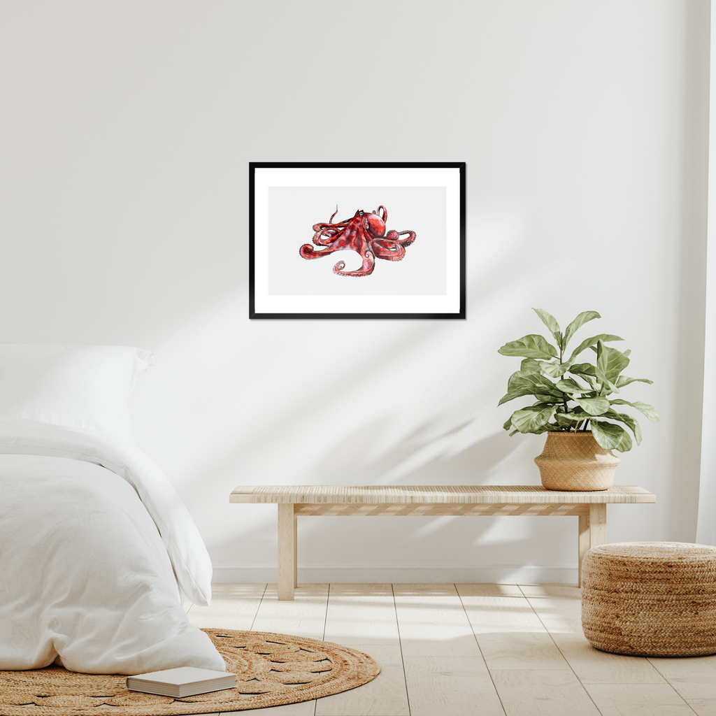 Aquarelle naturaliste - Le poulpe