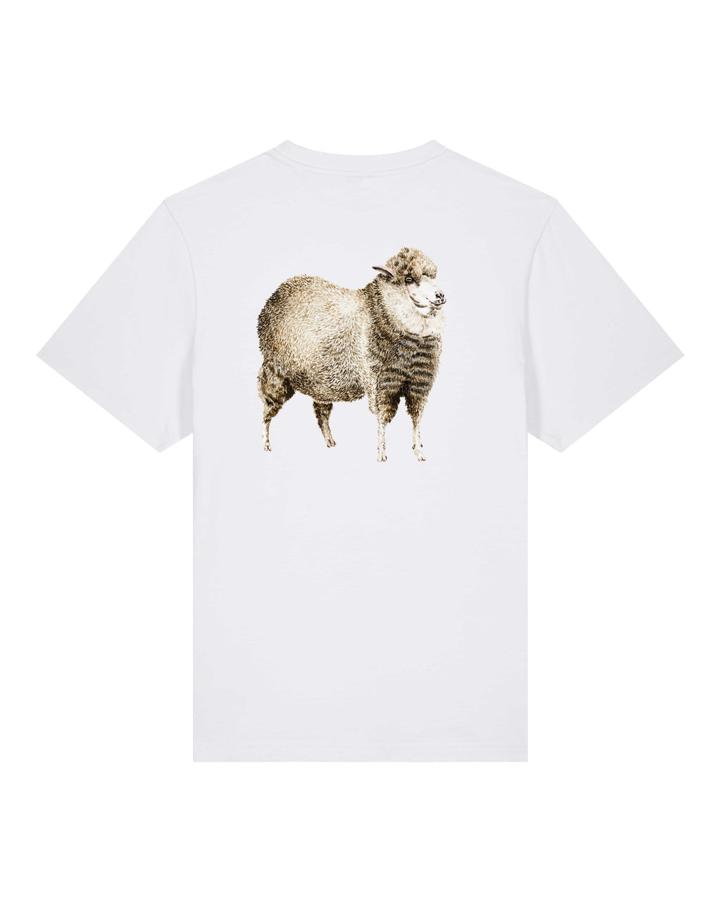 T-shirt aquarelle naturaliste - Mouton